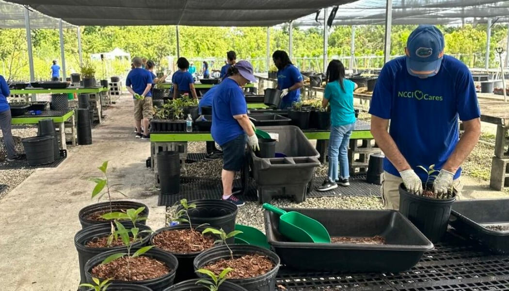 Tree Nursery Volunteer Day 5